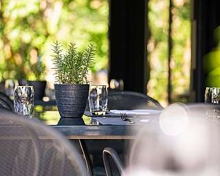Ambiance de restaurant confortable avec plante