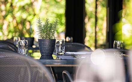 Ambiance de restaurant confortable avec plante