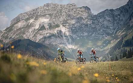 Trois vététistes traversent une prairie fleurie dans les montagnes.