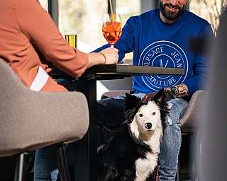 Couple avec un Border Collie dans le restaurant d'hôtel accueillant les chiens à Gstaad
