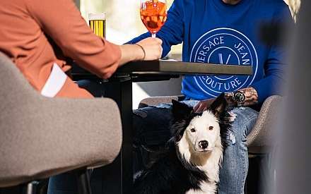 Couple with Border Collie in the dog-friendly hotel restaurant in Gstaad