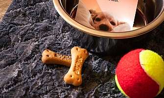 Dog travel equipment with "Do Not Disturb" sign