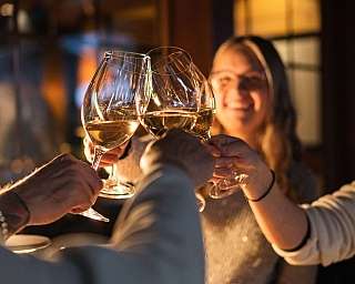 Several people are toasting with wine glasses in a festive setting.