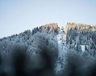 A ski lift goes through a snowy forest to a hill.
