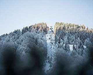 A ski lift goes through a snowy forest to a hill.
