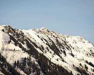 Mountain with snow and coniferous trees under clear sky.