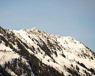 Mountain with snow and coniferous trees under clear sky.