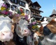 Gstaad