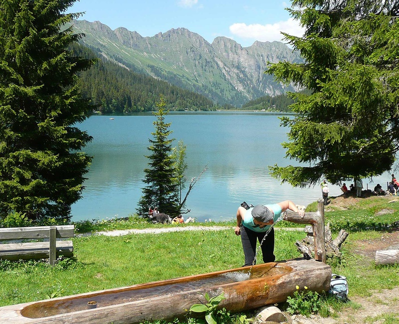 gstaad see