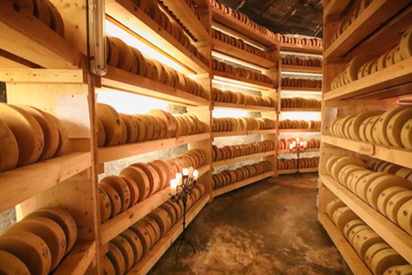 Visit of the cheese grotto